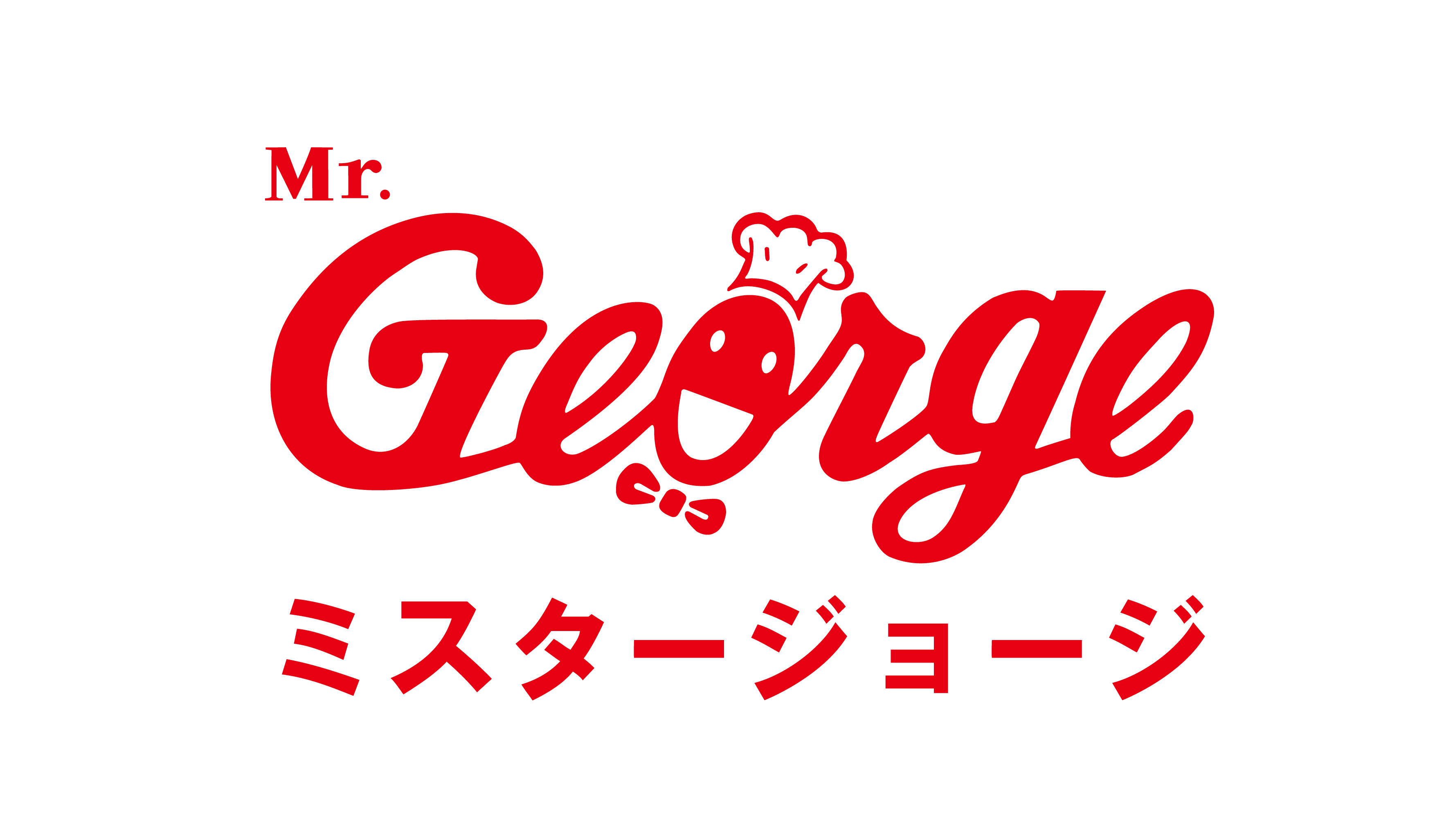 有限会社ミスタージョージ