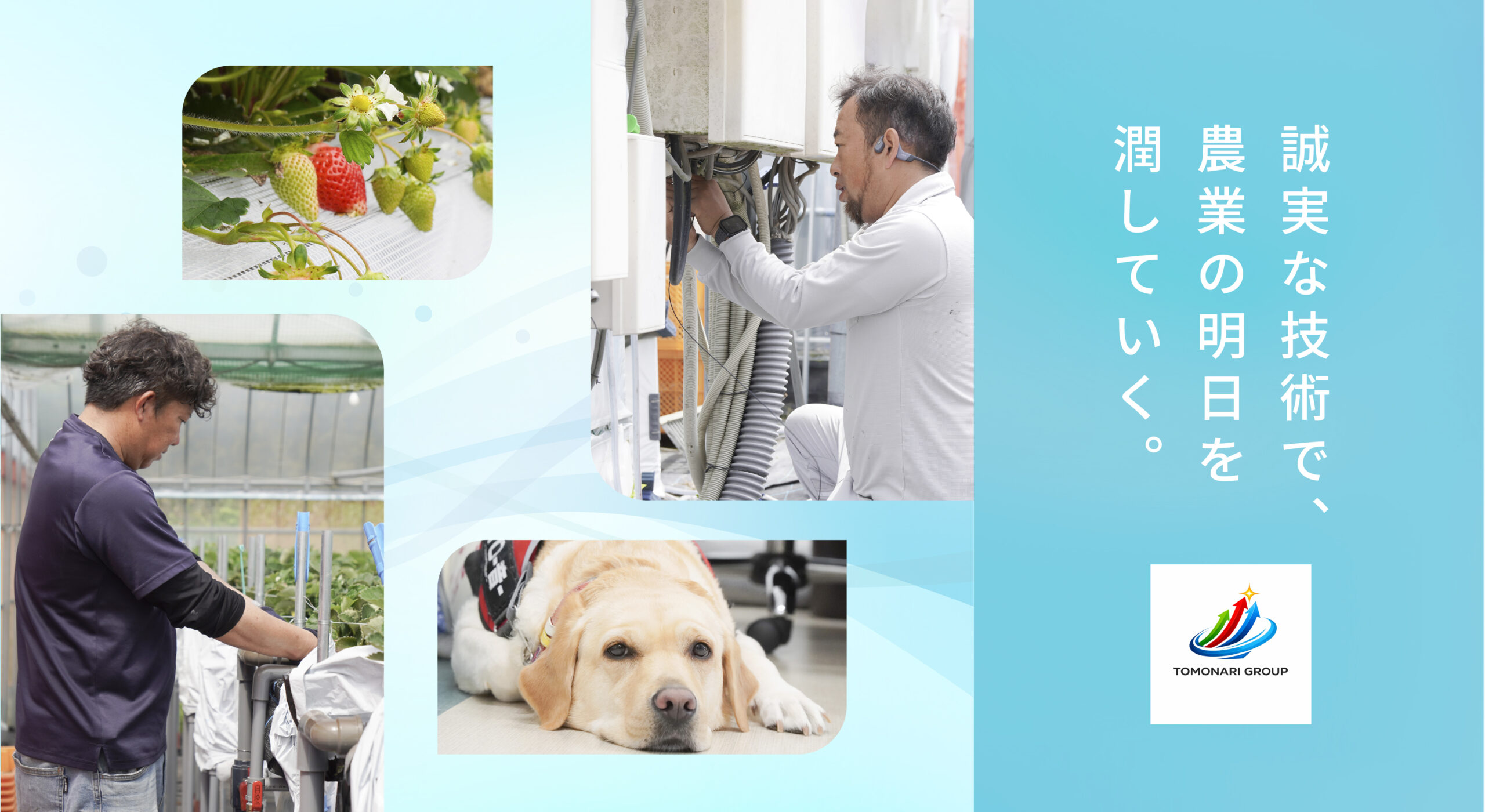 【新着】新たなパートナー企業が加わりました！