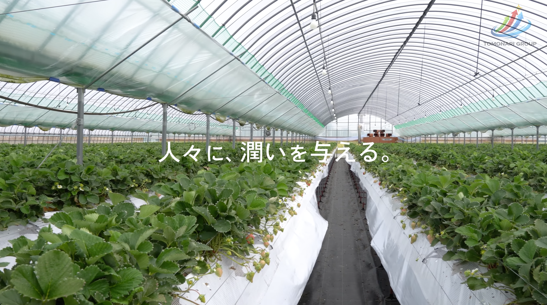 【動画公開】智成株式会社　  人々に、潤いを与える。